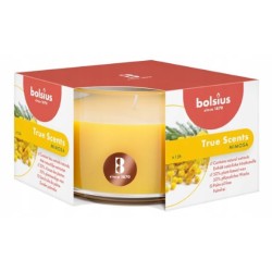 Świeca zapachowa w szkle BOLSIUS True Scents 14H MIMOZA