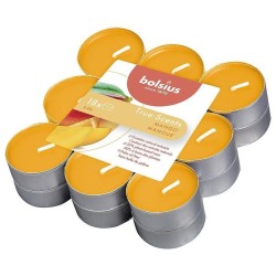 Podgrzewacze zapachowe BOLSIUS True Scents 4H 18szt. MANGO