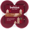 Podgrzewacze zapachowe BOLSIUS Maxi light True Glow 8H 8szt. ZIMOWE PRZYPRAWY