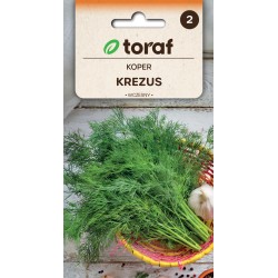 Nasiona TORAF - KOPER...