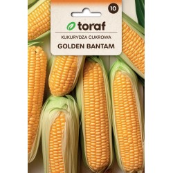 Nasiona TORAF - KUKURYDZA...