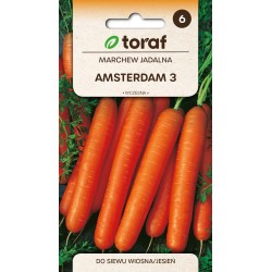 Nasiona TORAF - MARCHEW...