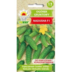 Nasiona TORAF - OGÓREK...