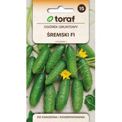 Nasiona TORAF - OGÓREK...