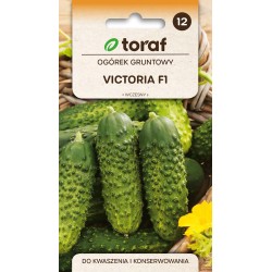 Nasiona TORAF - OGÓREK...