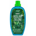 Nawóz w płynie do roślin zielonych WESTLAND 1L
