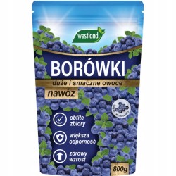 Nawóz do borówek WESTLAND 800g