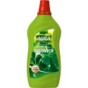 Nawóz do roślin zielonych AGRA 1L