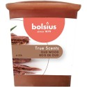 Wosk zapachowy okrągły BOLSIUS True Scents 15H DRZEWO AGAROWE