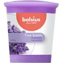 Wosk zapachowy okrągły BOLSIUS True Scents 15H LAWENDA