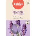 Podgrzewacze zapachowe BOLSIUS True Scents 4H 6szt. LAWENDA