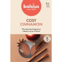 Podgrzewacze zapachowe BOLSIUS True Scents 4H 6szt. JABŁKO-CYNAMON