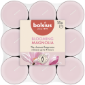 Podgrzewacze zapachowe BOLSIUS True Scents 4H 18szt. MAGNOLIA