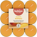 Podgrzewacze zapachowe BOLSIUS True Scents 4H 18szt. MANGO