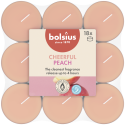 Podgrzewacze zapachowe BOLSIUS True Scents 4H 18szt. BRZOSKWINIA