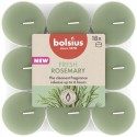 Podgrzewacze zapachowe BOLSIUS True Scents 6H 18szt. ROZMARYN