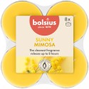 Podgrzewacze zapachowe BOLSIUS True Scents 8H 8szt. MIMOZA