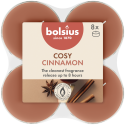 Podgrzewacze zapachowe BOLSIUS True Scents 8H 8szt. JABŁKO-CYNAMON