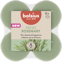 Podgrzewacze zapachowe BOLSIUS True Scents 8H 8szt. ROZMARYN