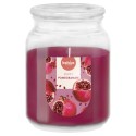 DUŻA Świeca zapachowa w słoiku BOLSIUS True Scents 100H GRANAT