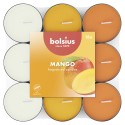 Podgrzewacze zapachowe BOLSIUS 3,5H 18szt. MANGO