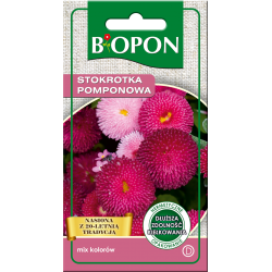 Nasiona BIOPON - STOKROTKA Pomponowa Mix Kolorów 0.1g
